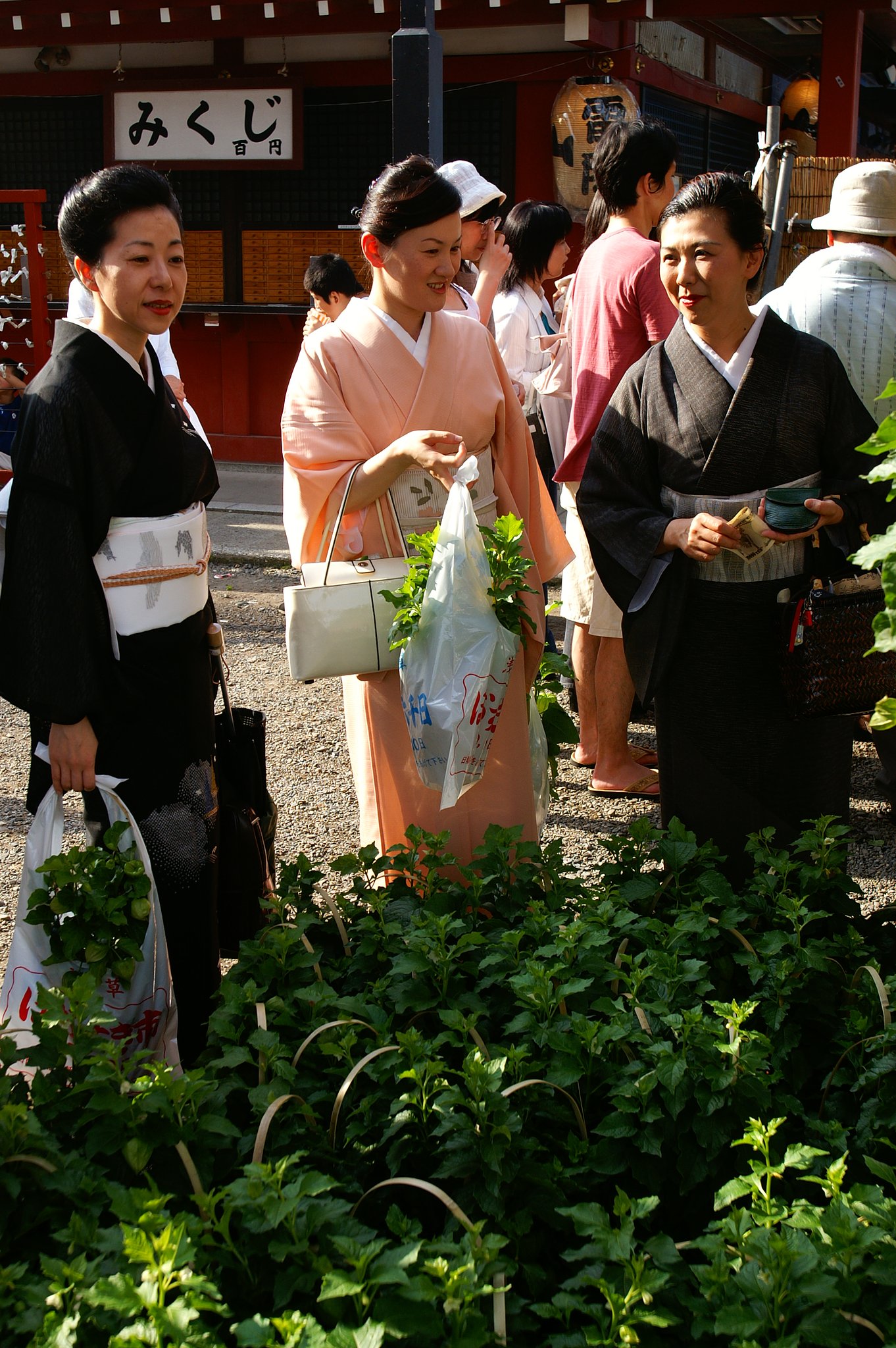 ほうずき市