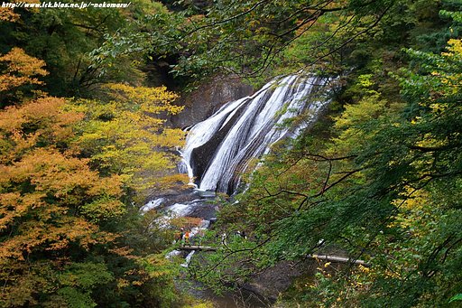 【水】・・袋田の滝