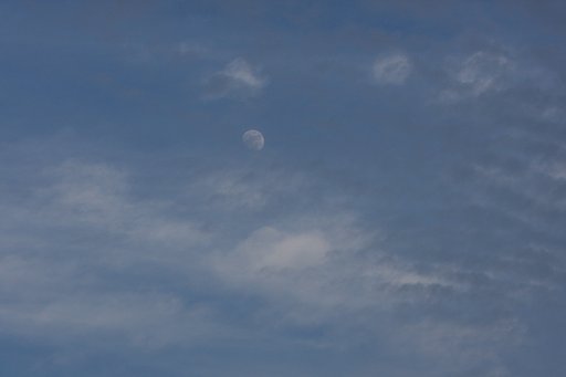 【写川柳】珍現象