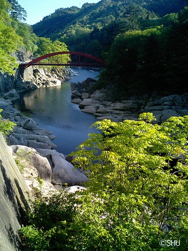 新緑の木曽川