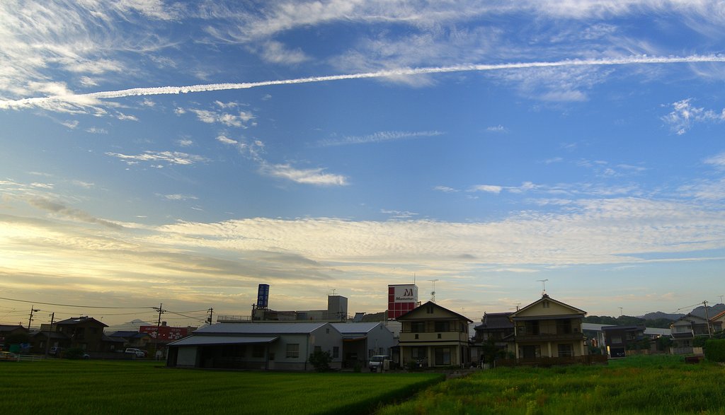 飛行機雲