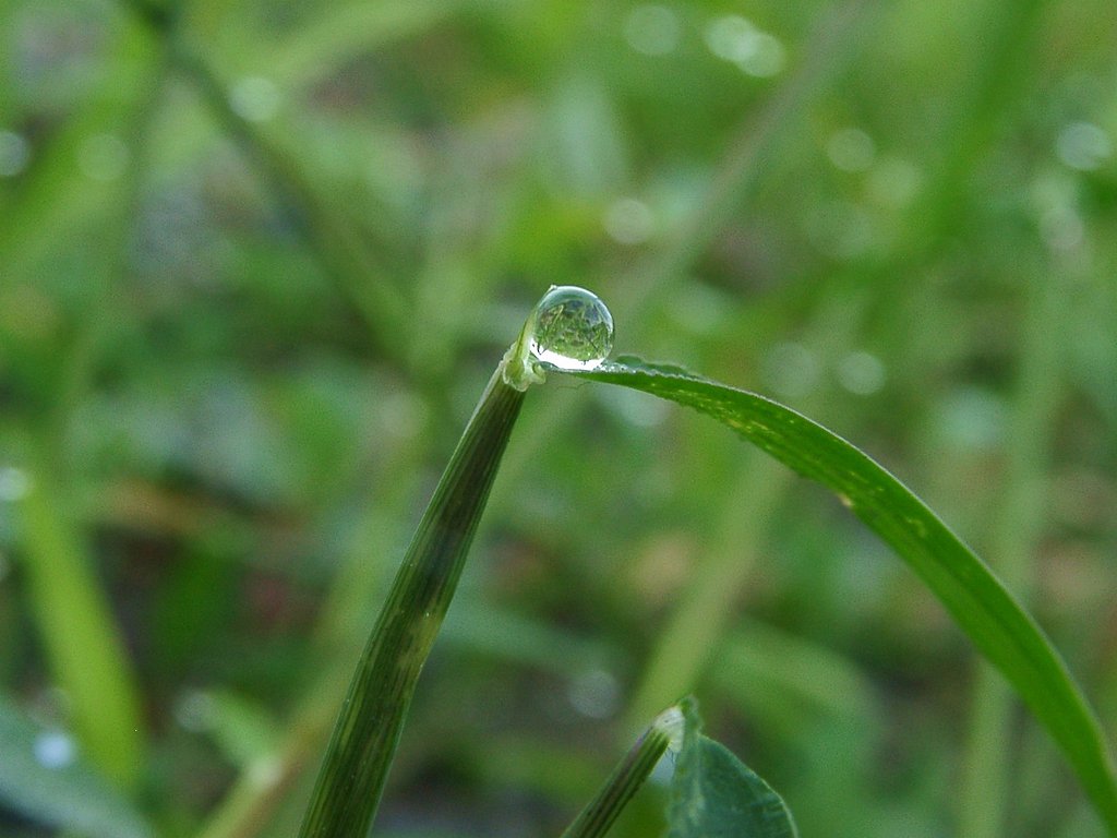 【水】水晶玉