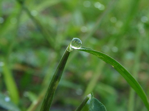 【水】水晶玉
