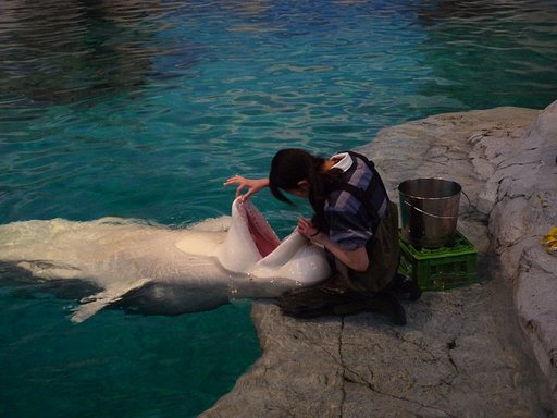 水族館