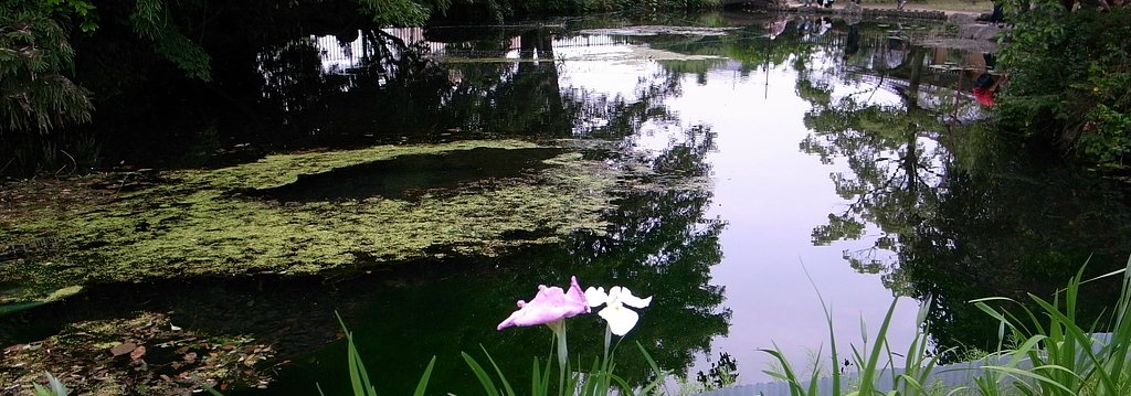 池です