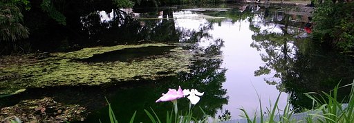 池です