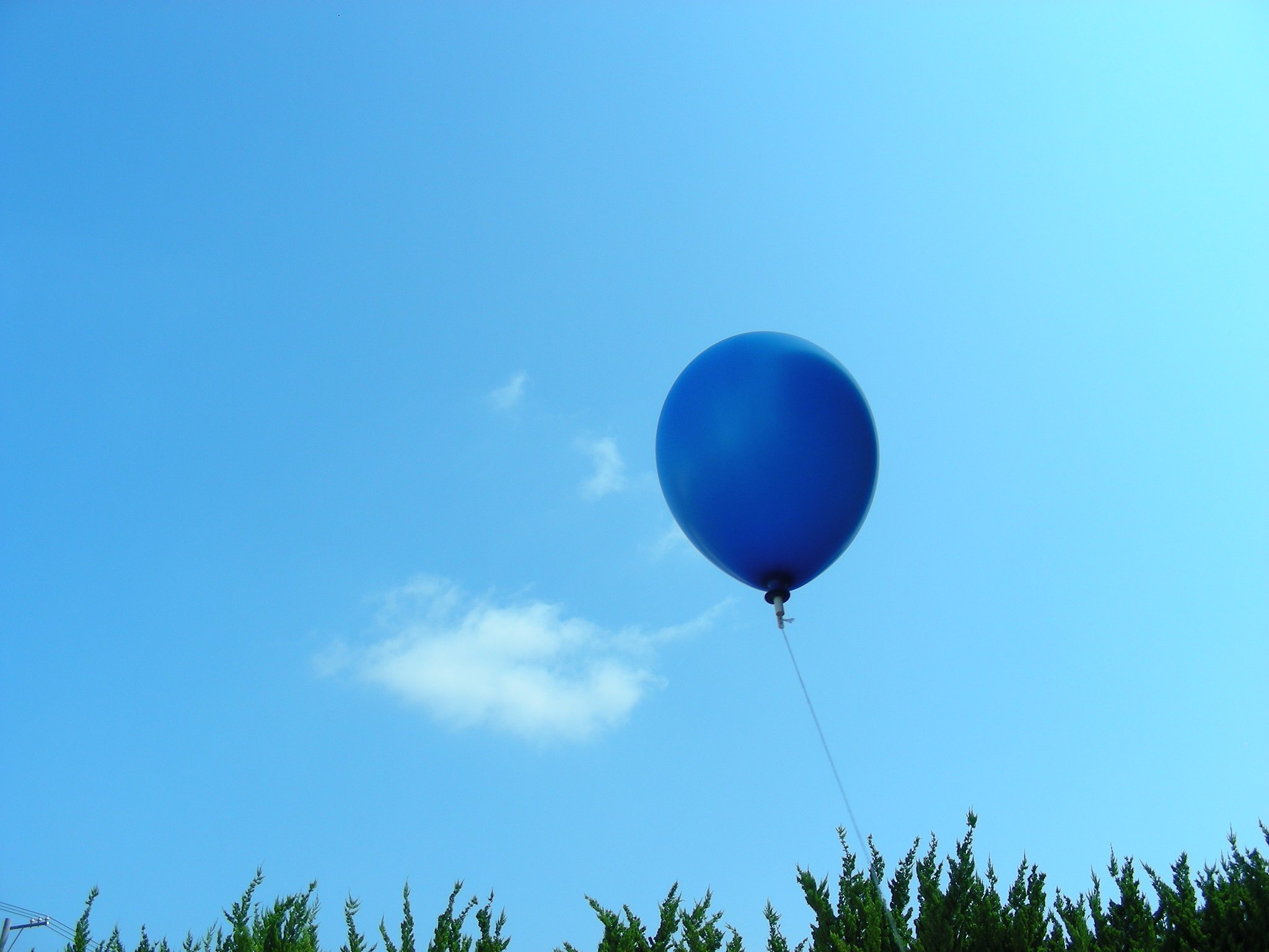 秋空