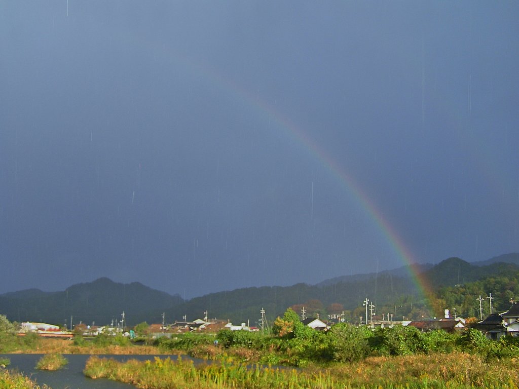 雨やミゾレの中の虹!