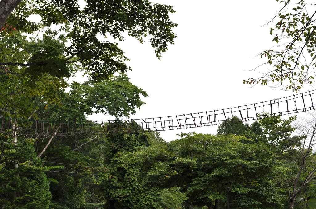 緑＆橋