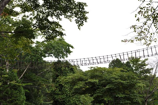 緑＆橋
