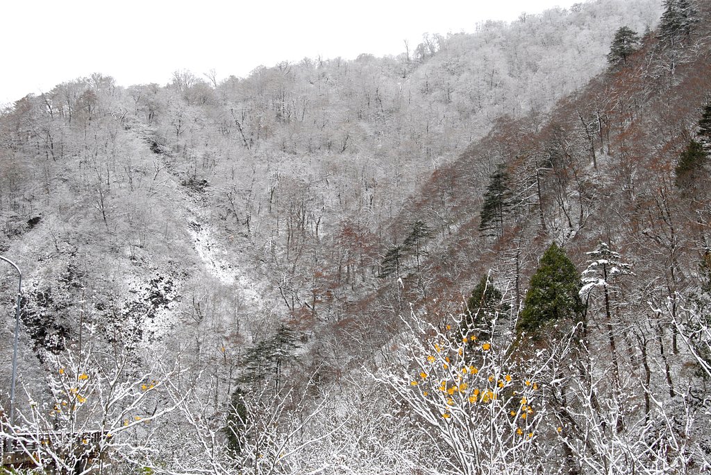 雪の中で