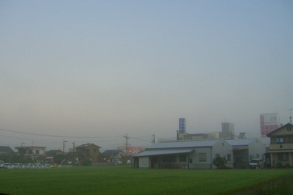 朝霧