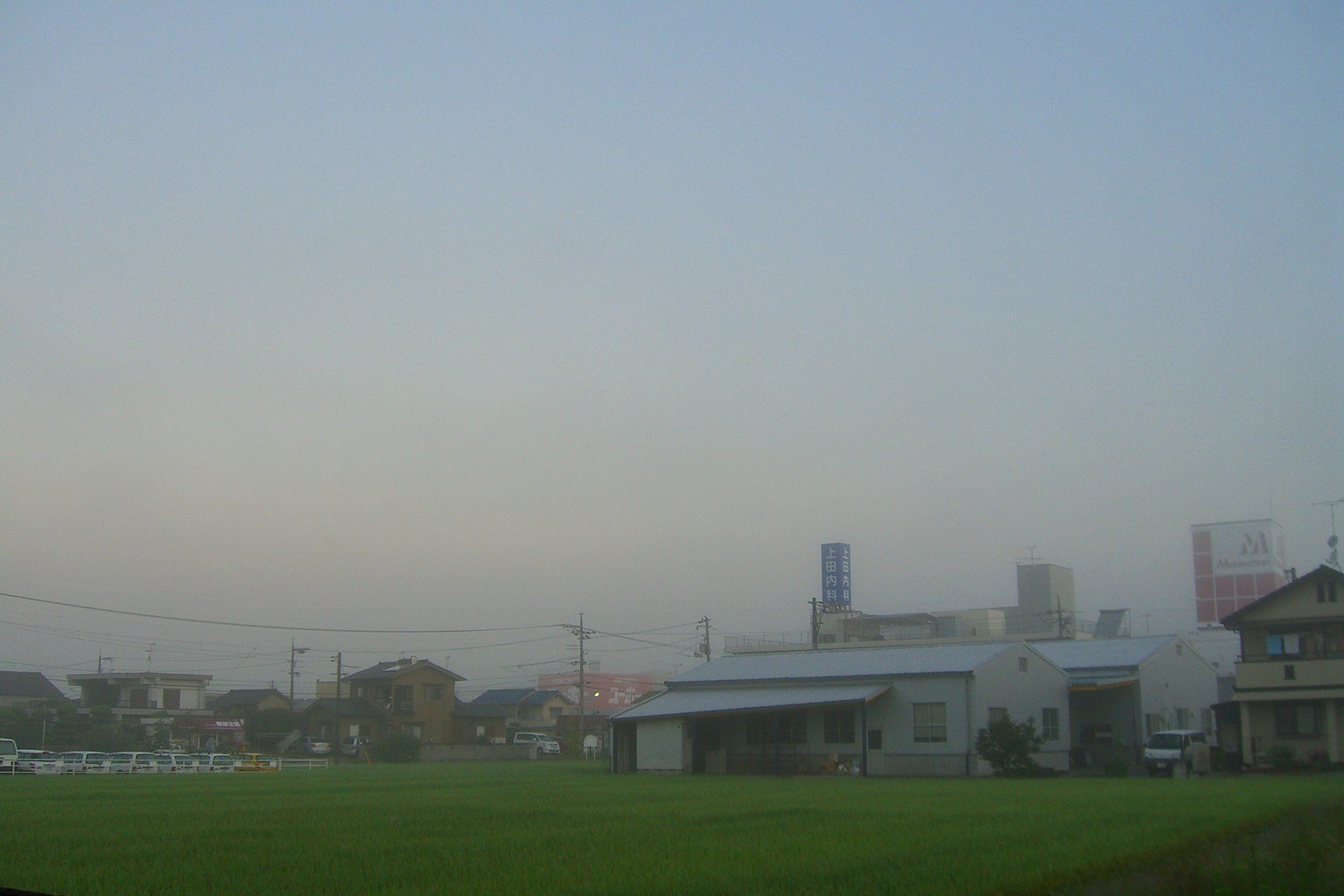朝霧