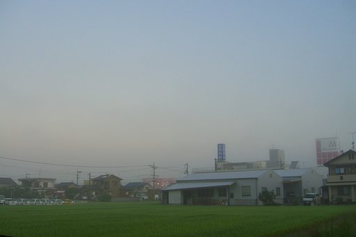 朝霧