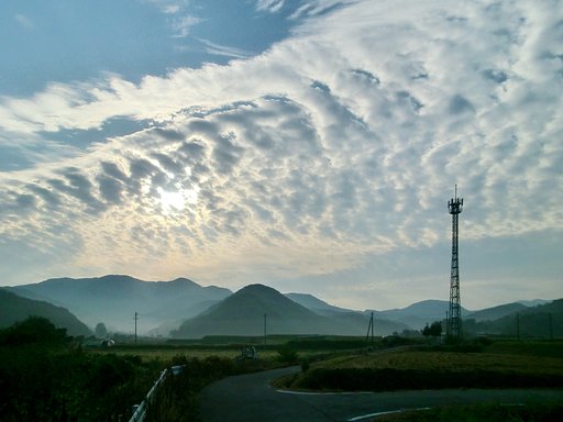 今朝の秋空!