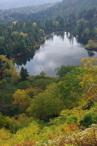 紅葉の沼