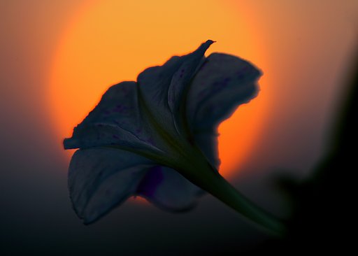夕方から