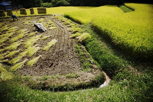 日本の事情
