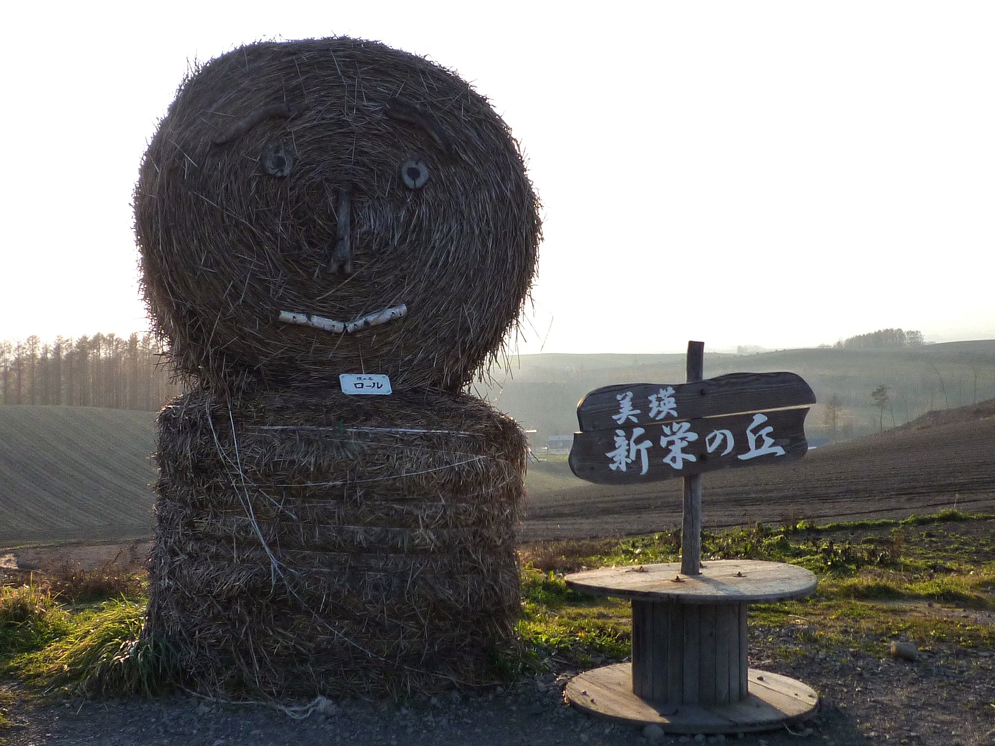 こっちが・・・