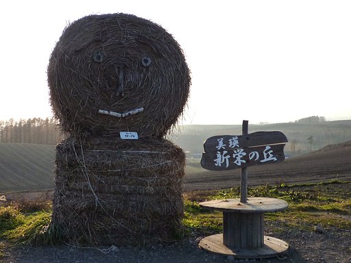 こっちが・・・