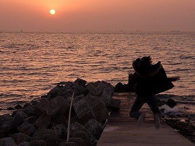 夕日