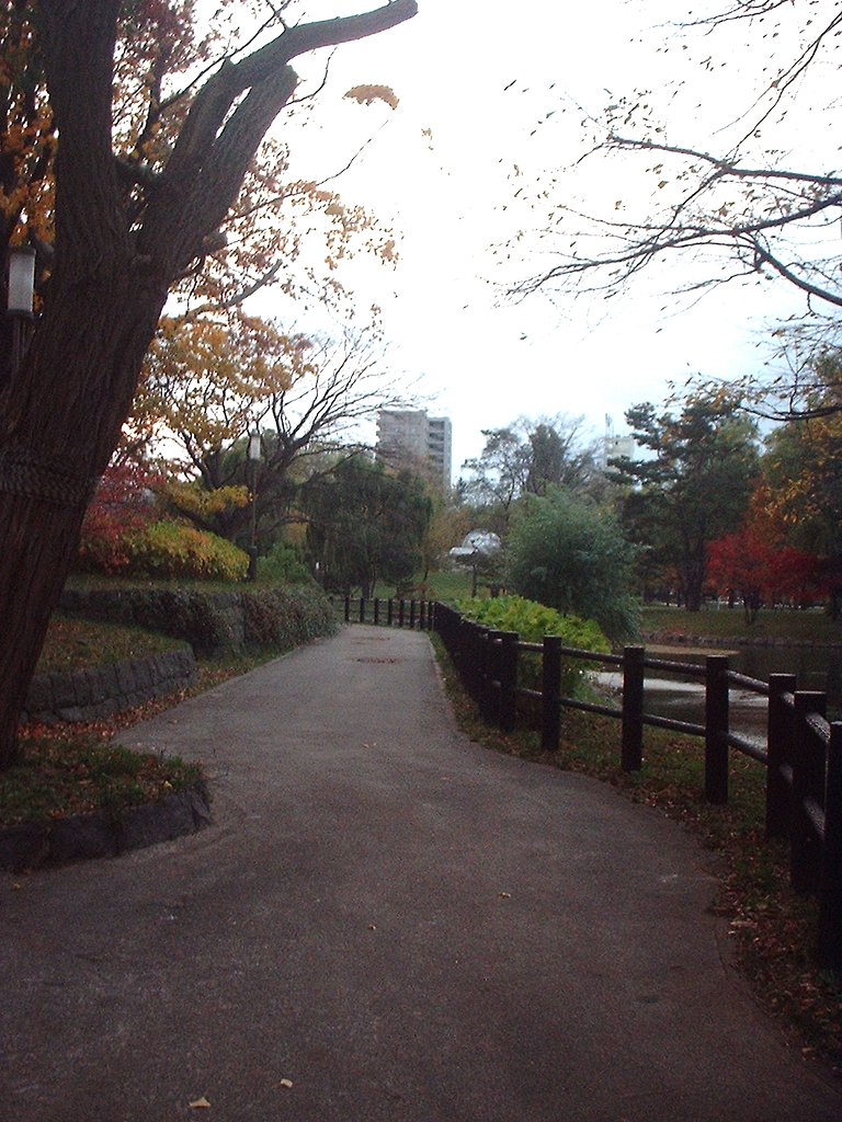 公園2