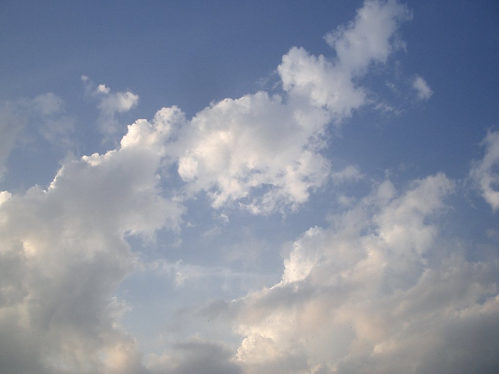 雲