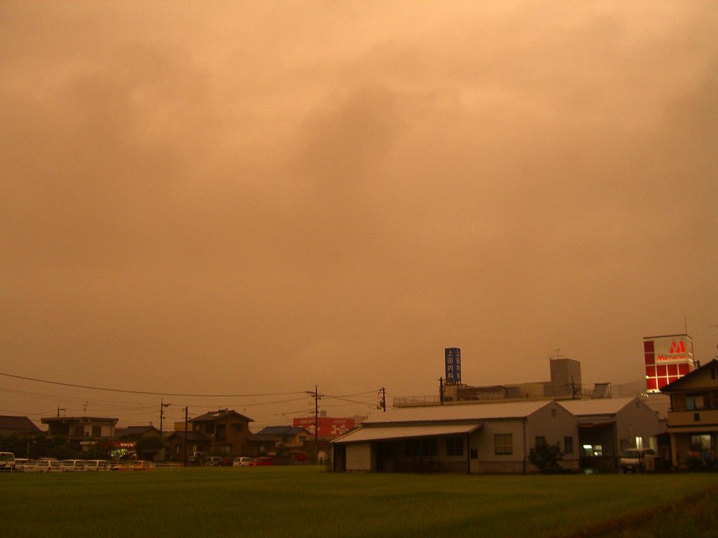 雨なのに