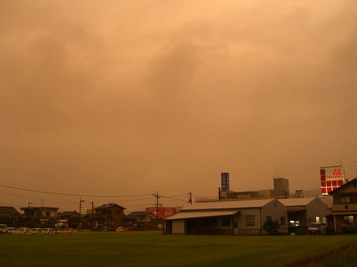 雨なのに