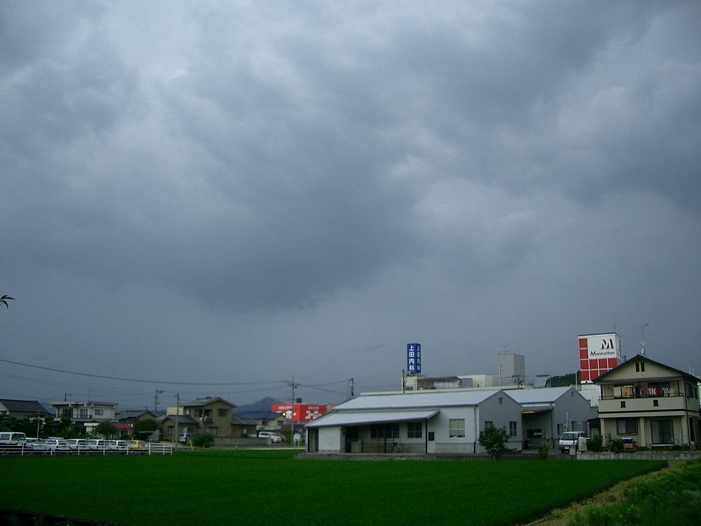 雨です