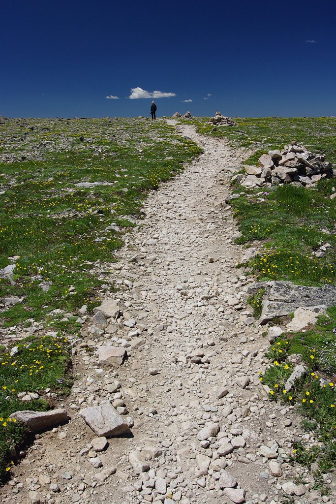 Trail to Blue Heaven