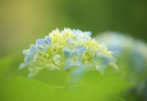 残像