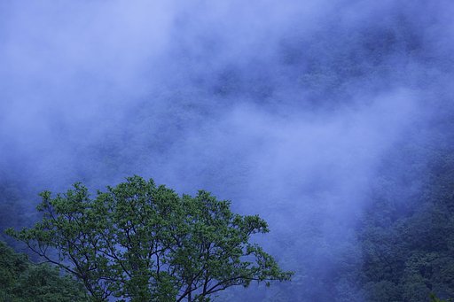 霧晴れる時に
