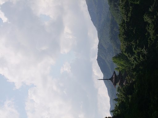 秋になるのが待ち遠しい…