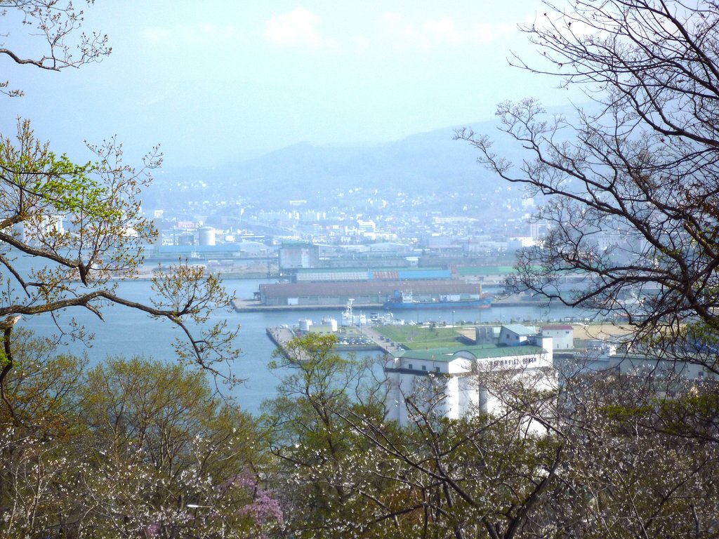 海の見える・・・