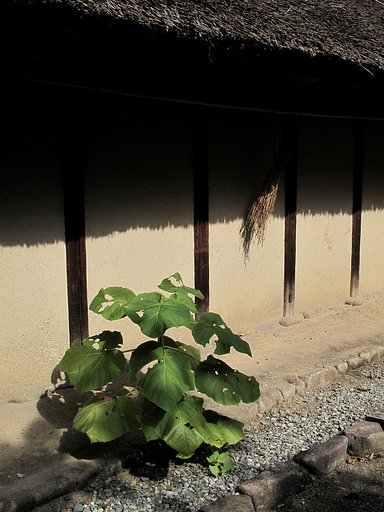 土壁