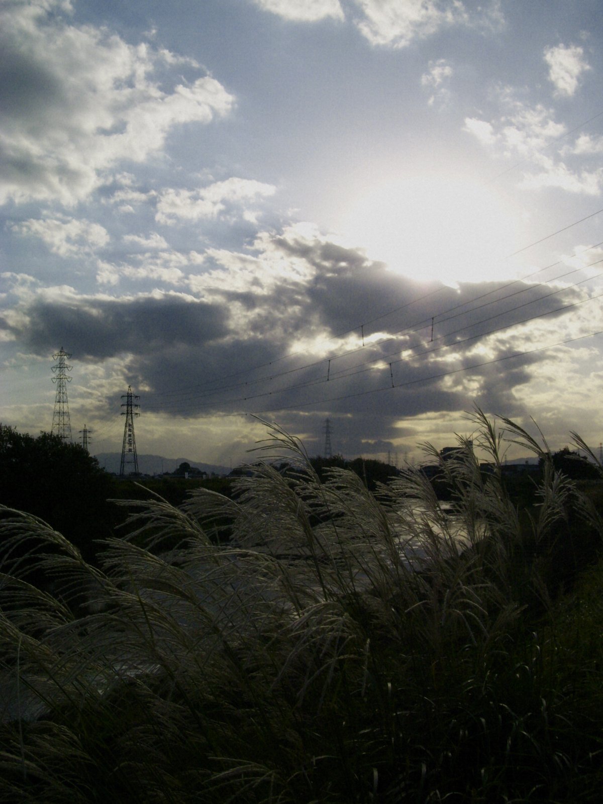 夕景、近所の川原にて