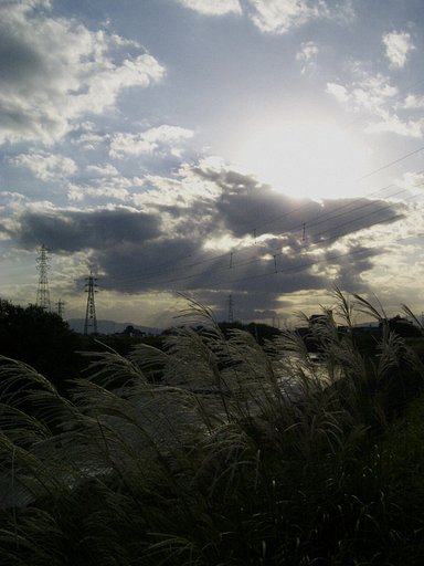 夕景、近所の川原にて