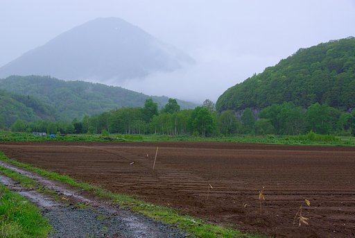 雨に煙る尻別岳