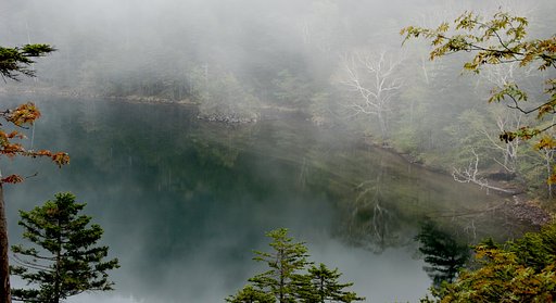 とある湖の風景
