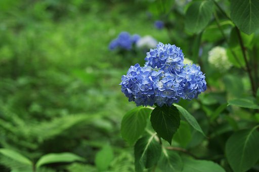 ひっそりと・・・