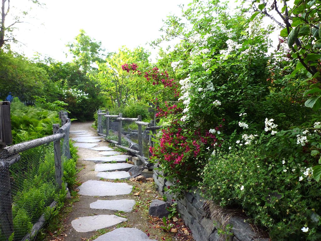 緑道