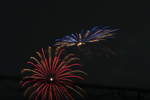 夜空の花