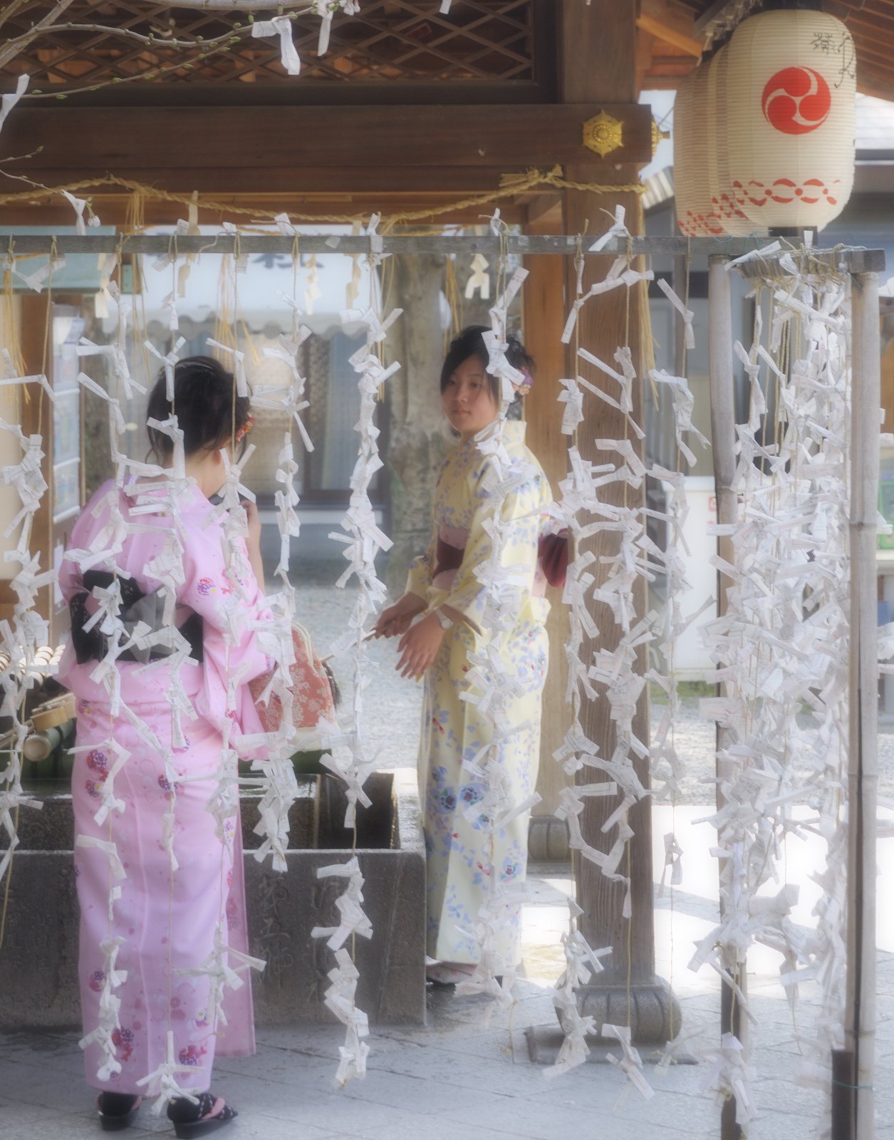 過ぎ行く夏を