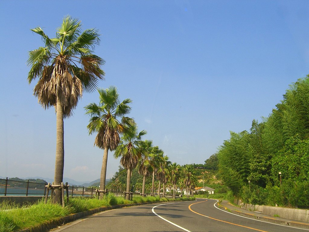 Drive-27