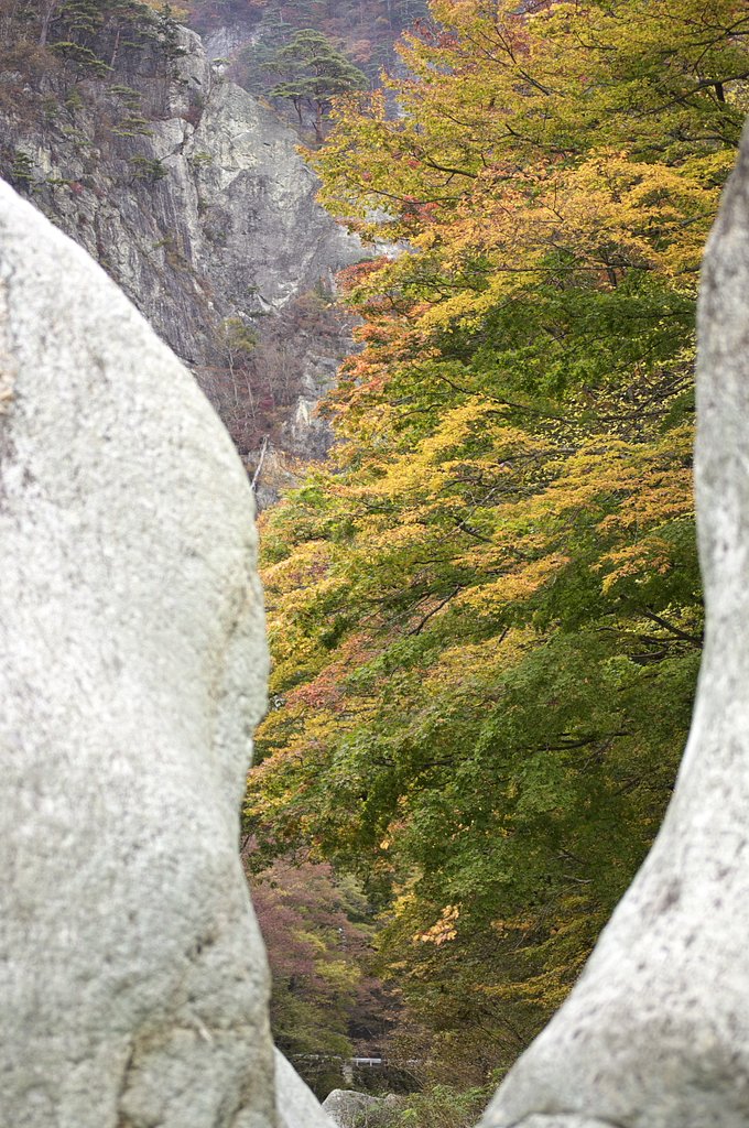 あれ？伊豆半島？？