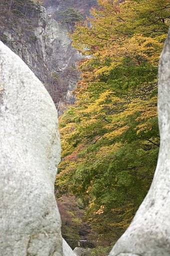 あれ？伊豆半島？？