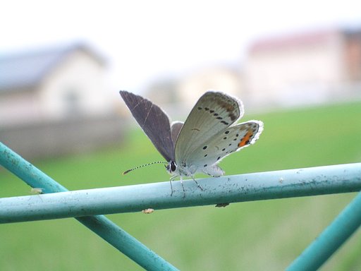 そ〜〜っと