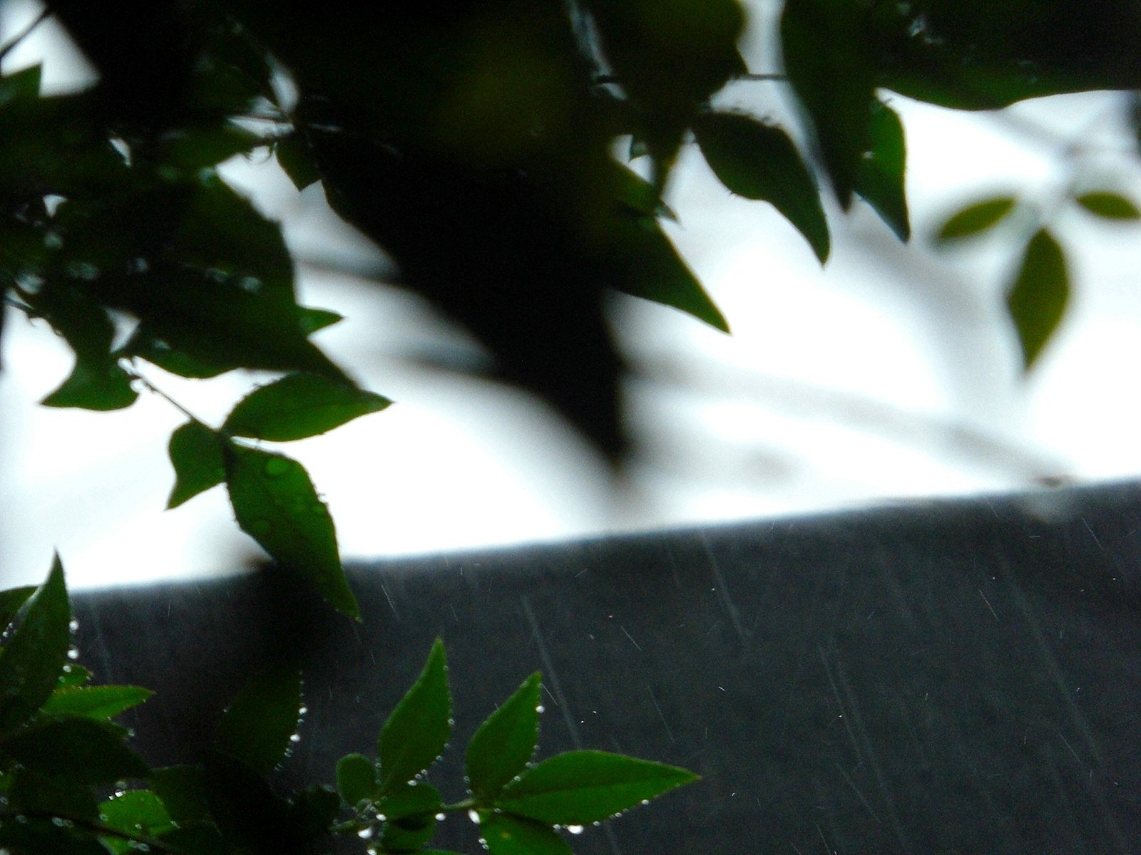またも大雨