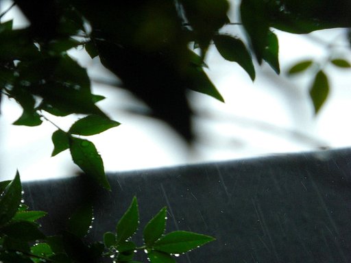 またも大雨